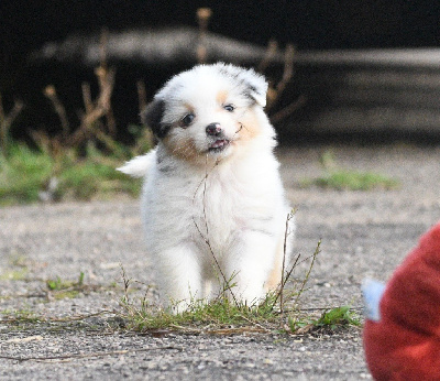 Avec la tikuna carma in parigi