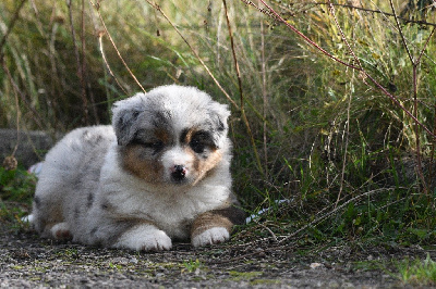 A Precious princesse