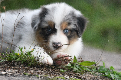 Avec la tikuna laili in parigi